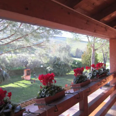 Отель Agriturismo Casale Il Gallo Bianco Озимо фото 3