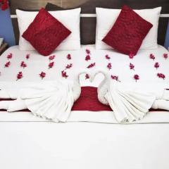 Отель Elite Inn 4* Номер Делюкс фото 21