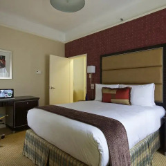Metro Hotel 3* Номер Делюкс с различными типами кроватей фото 3