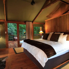 Отель Addo Elephant Back Safaris and Lodge комната для гостей