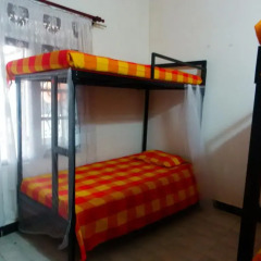 New negombo beach hostel Кровать в женском общем номере с двухъярусной кроватью фото 3