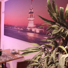 Jakaranda Hotel гостиничный бар