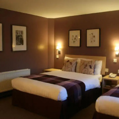 Отель Yorkway Motel 3* Стандартный номер с различными типами кроватей фото 4