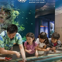 Отель Resorts World Sentosa - Beach Villas гостиничный бар