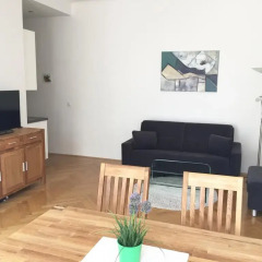 Отель Viennaappartement Австрия, Вена - отзывы, цены и фото номеров - забронировать отель Viennaappartement онлайн комната для гостей фото 5