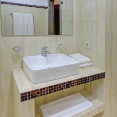 Resident Hotel Almaty 3* Стандартный номер двуспальная кровать