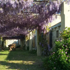 Отель Masseria Copertini Верноле фото 9