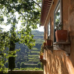 Отель Quinta do Vallado Португалия, Пезу-да-Регуа - отзывы, цены и фото номеров - забронировать отель Quinta do Vallado онлайн фото 3