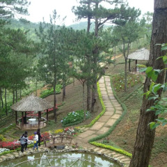 Отель Rừng Hoa Đà Lạt Далат