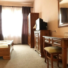 Hotel Branik в номере