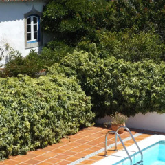 Отель Casa Do Sobral