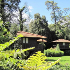 Отель Quinta Das Eiras 3* Студия фото 10
