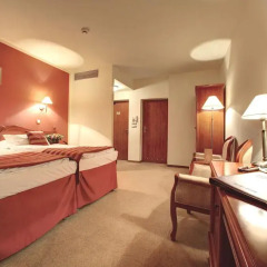 Hotel Europejski 3* Стандартный номер с двуспальной кроватью