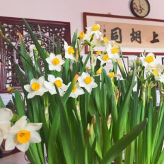 Отель Hutong Impressions Beijing Guesthouse Китай, Пекин - отзывы, цены и фото номеров - забронировать отель Hutong Impressions Beijing Guesthouse онлайн интерьер отеля