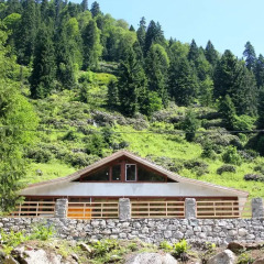 Ayder Cise Dag Evleri Шале с различными типами кроватей фото 17