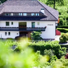 Отель Pension Rebgut Италия, Лана - отзывы, цены и фото номеров - забронировать отель Pension Rebgut онлайн фото 2