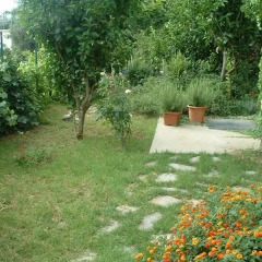 Отель Il Giardino Dei Limoni Италия, Равелло - отзывы, цены и фото номеров - забронировать отель Il Giardino Dei Limoni онлайн