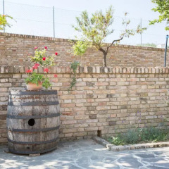 Отель Bed and breakfast Aratro & Rosmarino Чивитанова-Марке спортивное сооружение