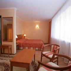 Park-Hotel Pushkin 3* Студия с различными типами кроватей фото 4