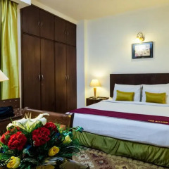 Goodwill Hotel Delhi 3* Номер Делюкс с различными типами кроватей фото 7