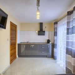 Отель Apartamenty i Pokoje w Willi na Ubocy Закопане в номере