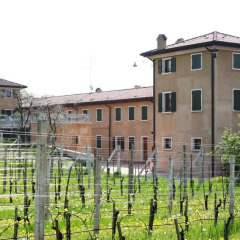 Отель Bio Agriturismo Vojon Понти-суль-Минчо с домашними животными