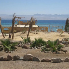 Отель Bella Sina Beach Lodge Стандартный номер с различными типами кроватей