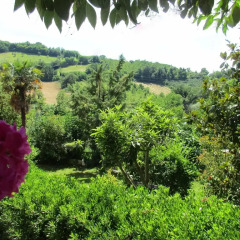 Отель B&B Carboni Италия, Трайа - отзывы, цены и фото номеров - забронировать отель B&B Carboni онлайн фото 3