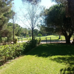 Отель Vilamoura Holidays Golf & Beach Португалия, Виламура - отзывы, цены и фото номеров - забронировать отель Vilamoura Holidays Golf & Beach онлайн фото 2