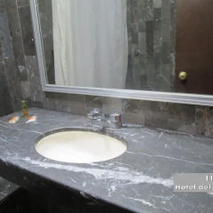 Hotel Del Parque 3* Номер Делюкс с различными типами кроватей фото 15
