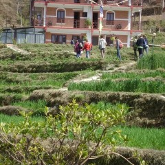 Отель Laxmi's Bed And Breakfast Непал, Катманду - отзывы, цены и фото номеров - забронировать отель Laxmi's Bed And Breakfast онлайн приотельная территория