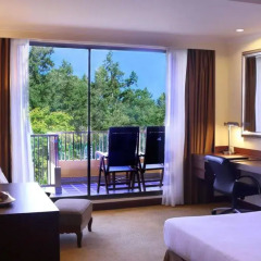 Отель Dusit Thani Pattaya 4* Номер Делюкс с разными типами кроватей