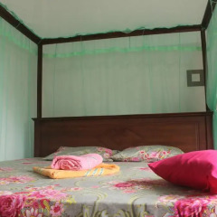 Отель Shasee Rest -Mirissa Sri Lanaka 2* Номер Делюкс с различными типами кроватей фото 5