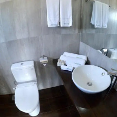 Terrace Green Hotel & Spa 4* Номер Делюкс с различными типами кроватей фото 6