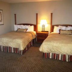 Отель Staybridge Suites Columbus-Airport 3* Студия с различными типами кроватей