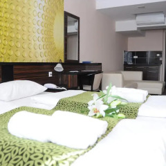 Green Hotel Budapest 4* Улучшенный номер с двуспальной кроватью фото 6