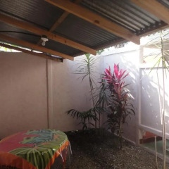 Отель Cabinas Tropicales Puerto Jimenez 3* Стандартный номер фото 9