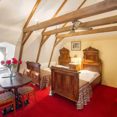 Hotel Waldstein 4* Номер Делюкс с различными типами кроватей фото 4