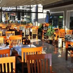 Отель Palmiye Butik Otel гостиничный бар