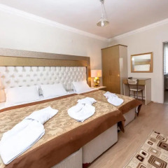 Ottoman Palace Hotel Edirne 3* Стандартный номер с различными типами кроватей фото 7