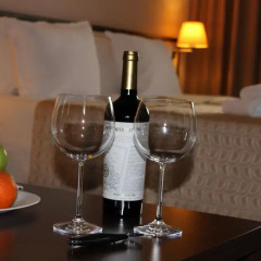 Отель Kendros Hotel Болгария, Пловдив - отзывы, цены и фото номеров - забронировать отель Kendros Hotel онлайн в номере