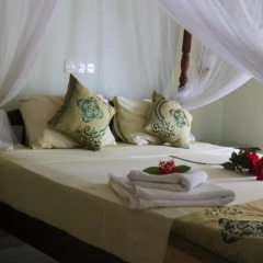 Отель Mahi Villa Шри-Ланка, Бентота - отзывы, цены и фото номеров - забронировать отель Mahi Villa онлайн комната для гостей фото 5