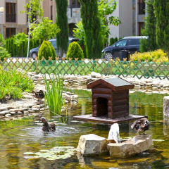 Апартаменты Cascadas Apartments Солнечный берег