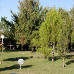 Отель Cabanas El Valle Сан-Рафаэль фото 4