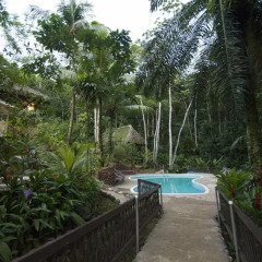 Отель Rio Santiago Nature Resort бассейн