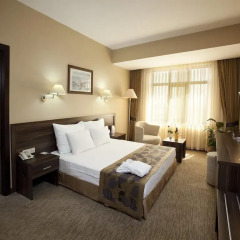 Plaza Hotel Diyarbakir Турция, Диярбакыр - отзывы, цены и фото номеров - забронировать отель Plaza Hotel Diyarbakir онлайн комната для гостей фото 3