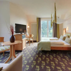Отель Akzent Waldhotel Rheingau 4* Номер Комфорт с различными типами кроватей фото 7