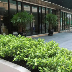Отель Thomson Hotel Huamark Таиланд, Бангкок - отзывы, цены и фото номеров - забронировать отель Thomson Hotel Huamark онлайн фото 4