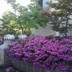 Отель Hyundai Residence Seoul Южная Корея, Сеул - отзывы, цены и фото номеров - забронировать отель Hyundai Residence Seoul онлайн