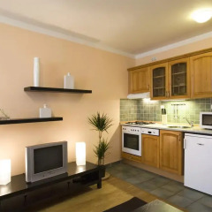 Апартаменты Premier Apartments Wenceslas Square Студия фото 15